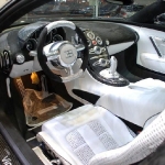 bugatti-vinsero-mansory-11.jpg