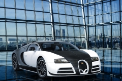 Bugatti Veyron Vivere by Mansory