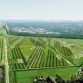 Buitenschot Land Art Park (1)