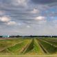 Buitenschot Land Art Park (2)