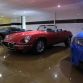 Canada Jaguar Collection (5)