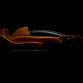 caparo-t1-11.jpg