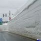Cars buried in snow