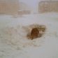 Cars buried in snow