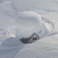 Cars buried in snow