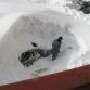Cars buried in snow