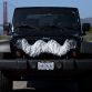 Carstache