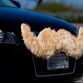 Carstache