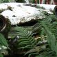 Chatillon Car Graveyard in Belgium