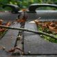 Chatillon Car Graveyard in Belgium