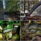 Chatillon Car Graveyard in Belgium