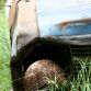 Chatillon Car Graveyard in Belgium