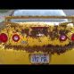 Chevrolet Camaro Covered In Bees