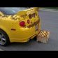 Chevrolet Camaro Covered In Bees