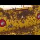 Chevrolet Camaro Covered In Bees