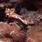 Chevrolet Corvette Museum sinkhole