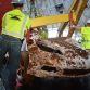 Chevrolet Corvette Museum sinkhole