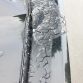 Chevrolet Corvette Stingray vandalized