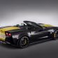 Guy Fieri Corvette