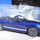Chicago Auto Show 2012