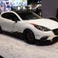 chicago-auto-show-2014-6