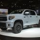 Chicago Auto Show 2016 Mega Gallery (38)