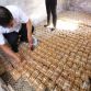 Chinese buy new car with coins (3)