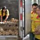 Chinese buy new car with coins (6)