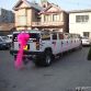 Chinese Cars