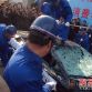 Chinese Owner Beats Up His Lamborghini Gallardo