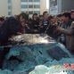 Chinese Owner Beats Up His Lamborghini Gallardo