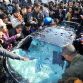Chinese Owner Beats Up His Lamborghini Gallardo