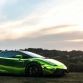 Chrome Green Lamborghini Gallardo