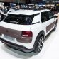 Citroen C4 Cactus and C4 Cactus Aventure