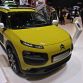 Citroen C4 Cactus and C4 Cactus Aventure