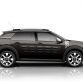 Citroen C4 Cactus Rip Curl (10)