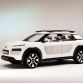 Citroen Cactus Concept