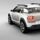 Citroen Cactus Concept