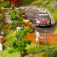 Citroen DS3 Rally