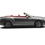 12bent_gtcs_det09.jpg