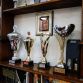 Corrado Lopresto Cars Collection