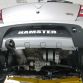 dacia-hamster-spy-photos-2