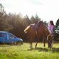 dacia (8)