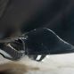 Damaged Ferrari Enzo 2003 (32)