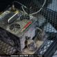 Datsun 280Z Project 2ADZ.1 (84)