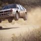 DiRT Rally (10)