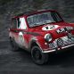 DiRT Rally (11)