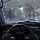 DiRT Rally (17)