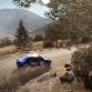 DiRT Rally (6)