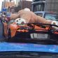 aventador bear
